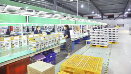 鹽城濱海 在產業攀高的賽道上奮力奔跑的家用電器產業